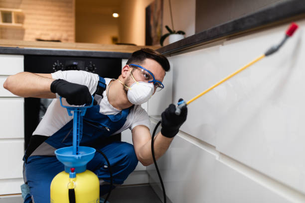 Best Wildlife Control Services  in Holden, MO