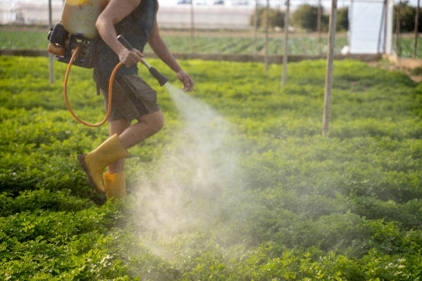 Best Best Pest Control Companies  in Holden, MO