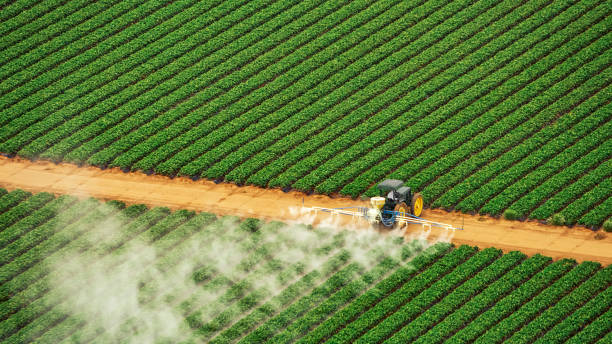 Pest Control Cost in Holden, MO