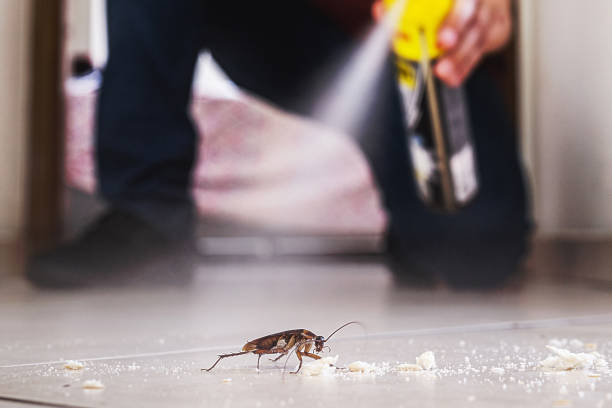 Best Cockroach Control Services  in Holden, MO