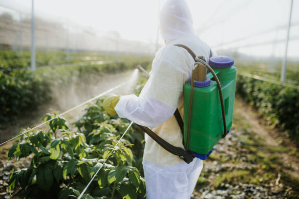 Best Bed Bug Extermination  in Holden, MO
